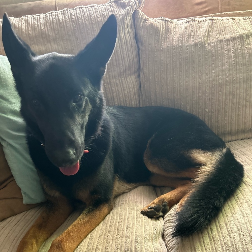 Meet your Posher, Tasha